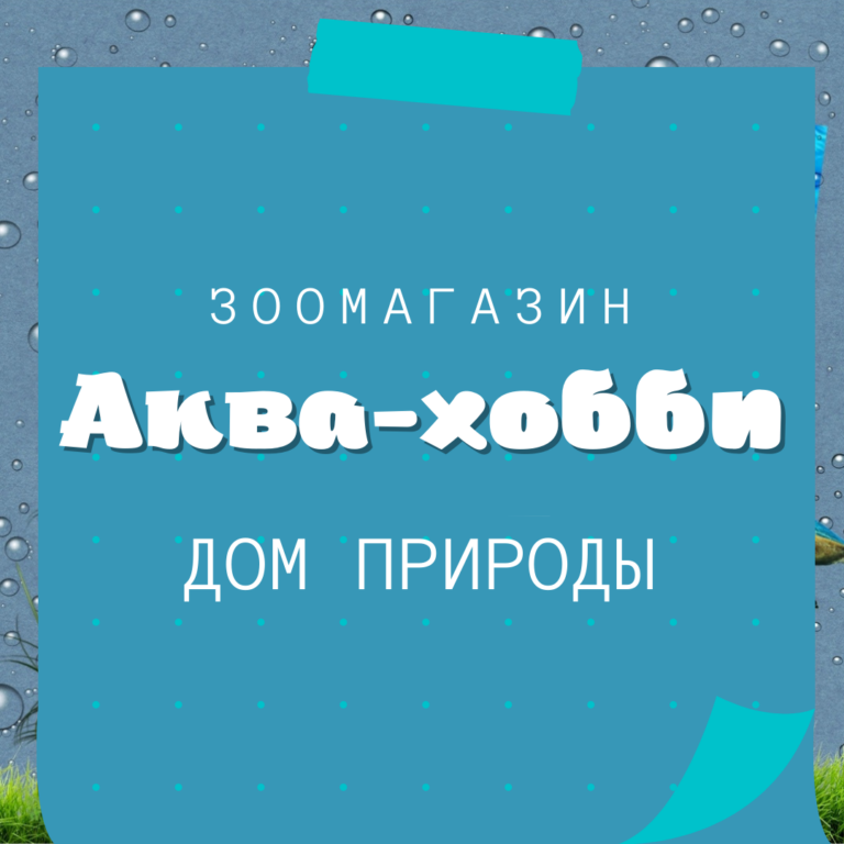 зоомагазин аква-хобби дом природы